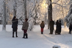 Beautiful Snowy Scenery
